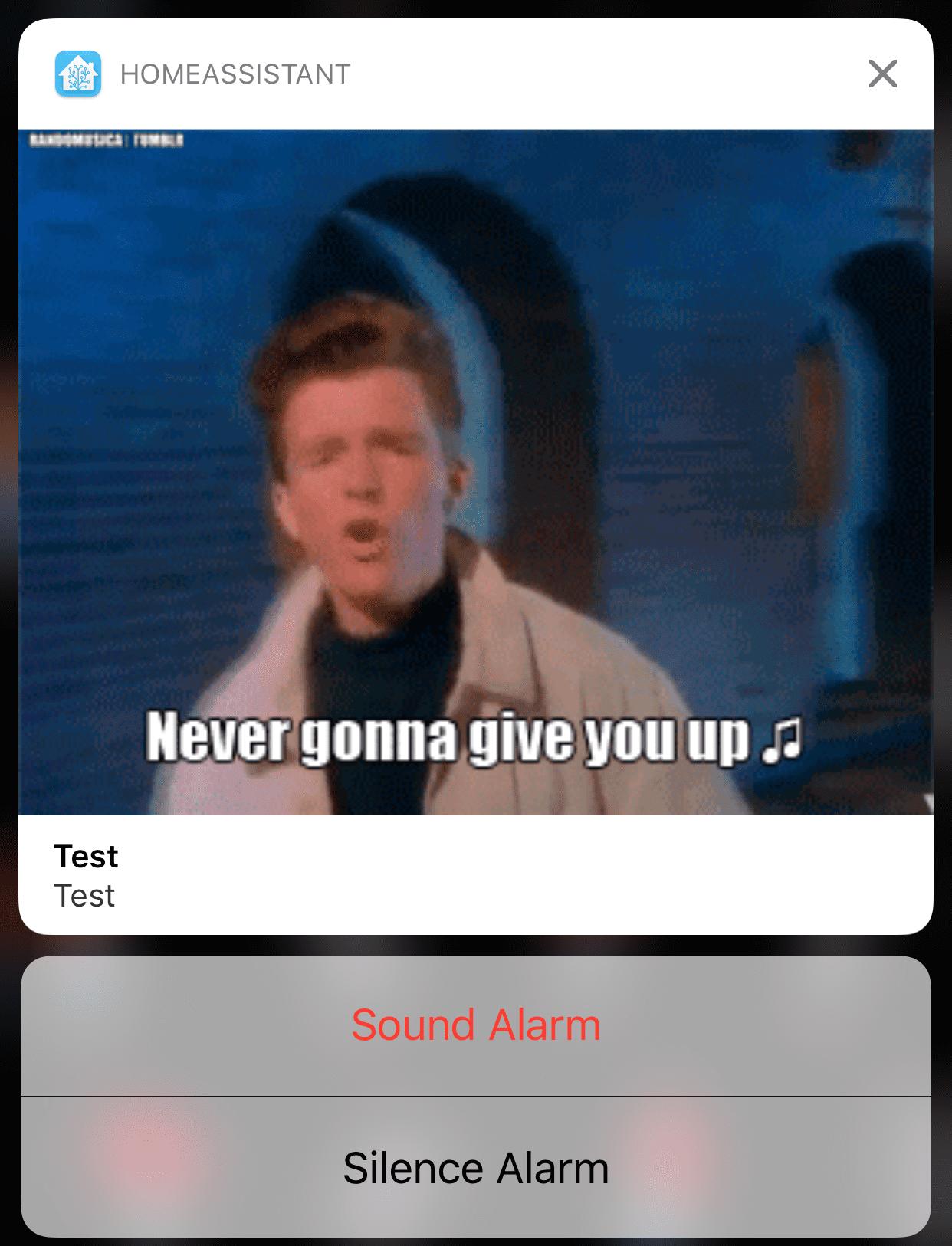 Texto alternativo de la imagen